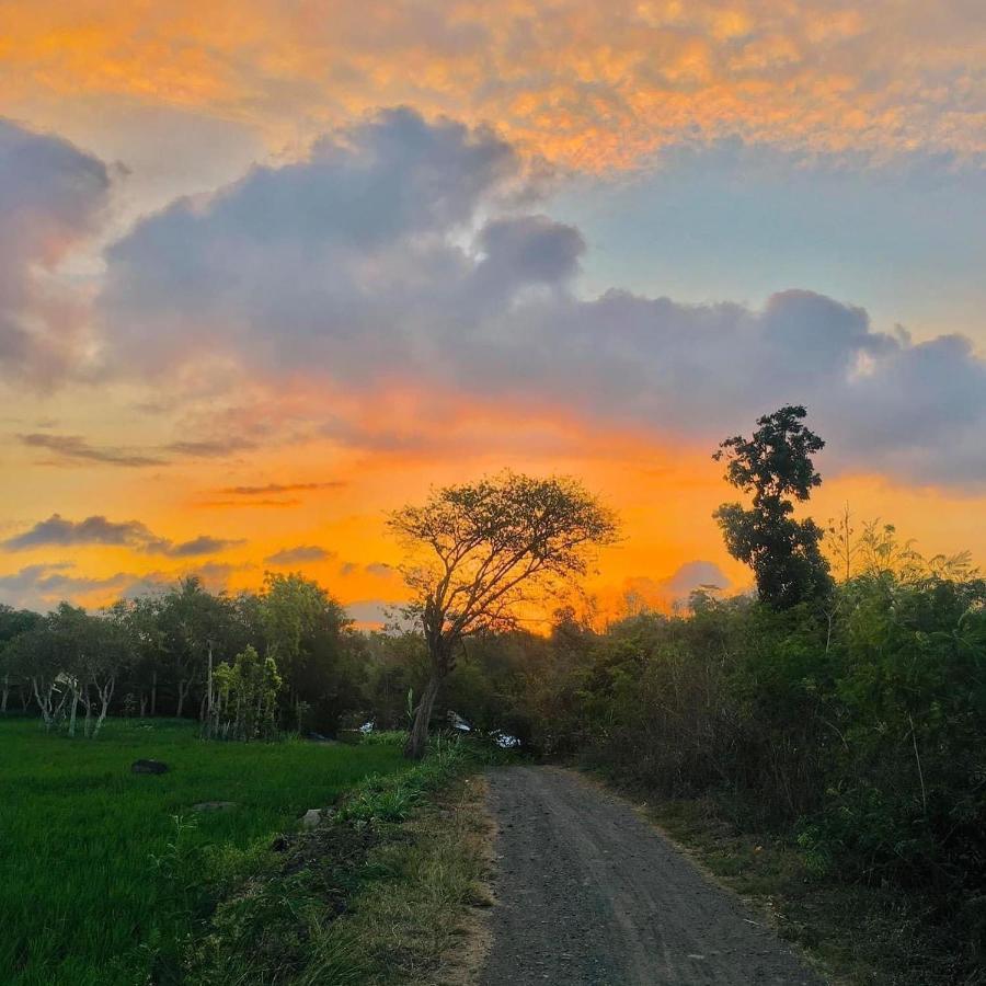 Tommy Homestay Plambi Exterior foto