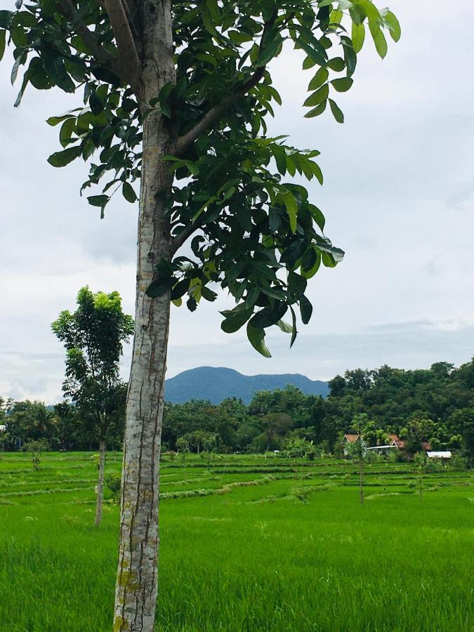 Tommy Homestay Plambi Exterior foto