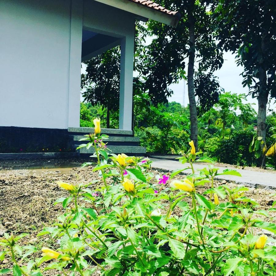 Tommy Homestay Plambi Exterior foto