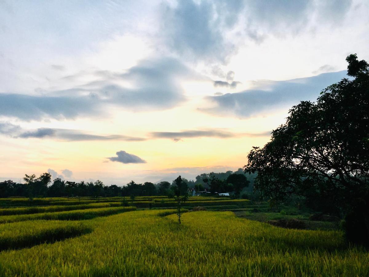 Tommy Homestay Plambi Exterior foto