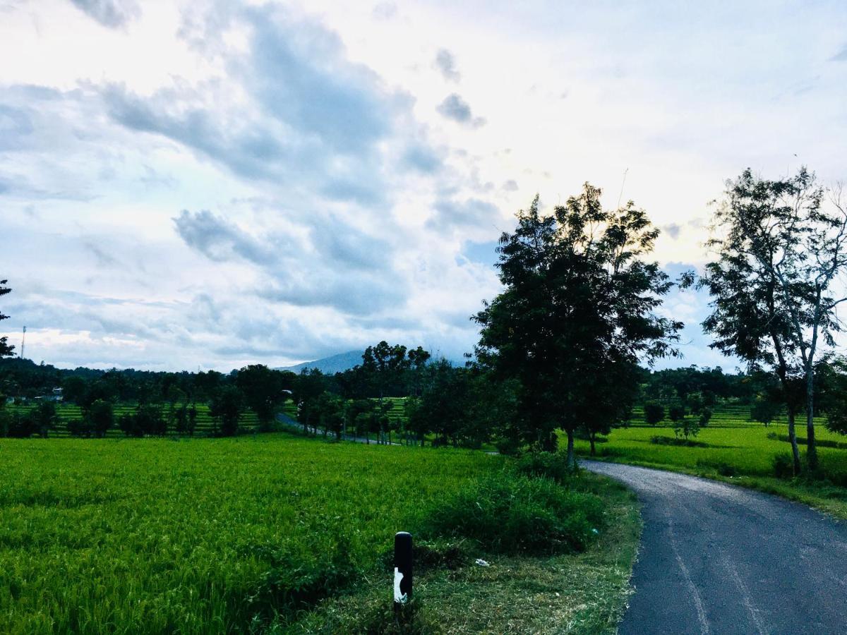 Tommy Homestay Plambi Exterior foto
