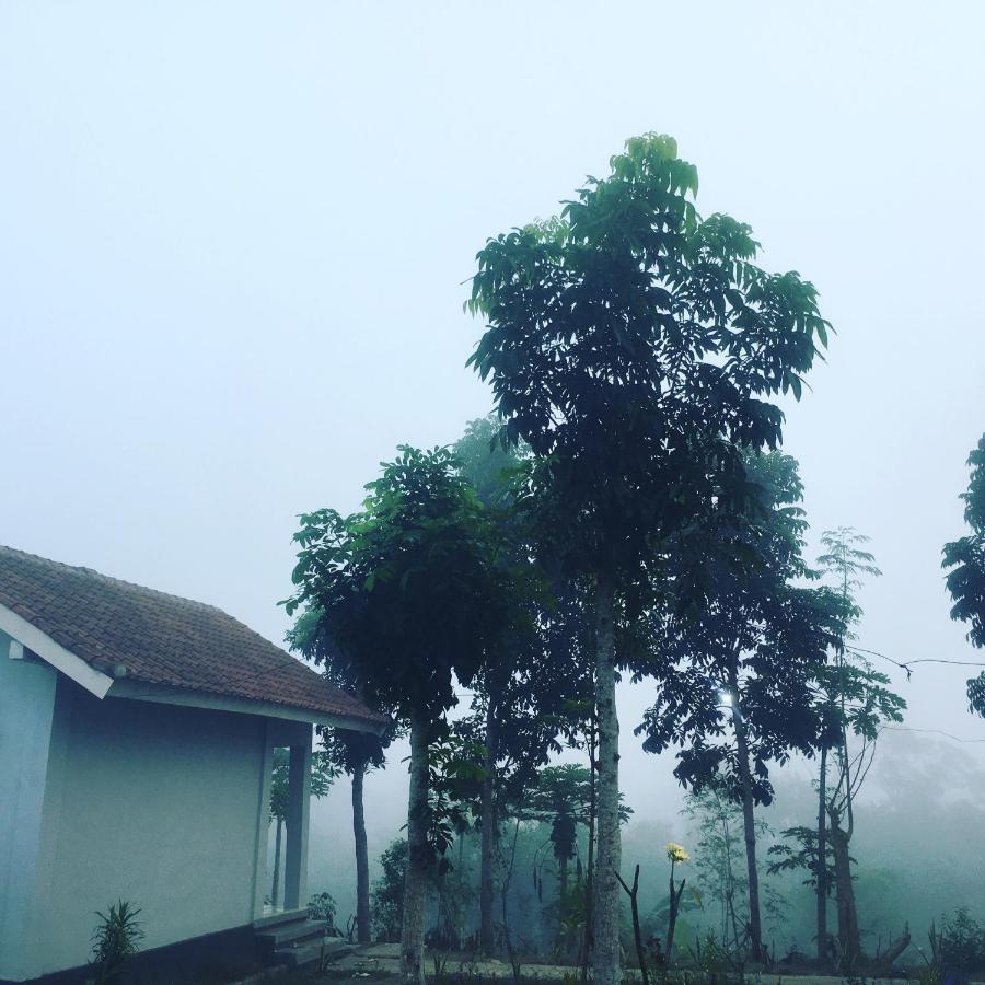 Tommy Homestay Plambi Exterior foto